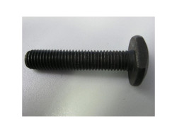 Nutschraube B30V/B40/PTE/F40E