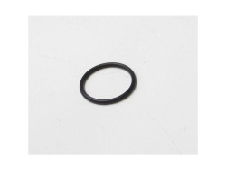 O-Ring IWS 125 PRO