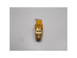 Sicherheitsventil 1/4AG / 8Bar